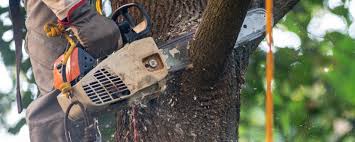 Soil Testing and Treatment in Lincolndale, NY
