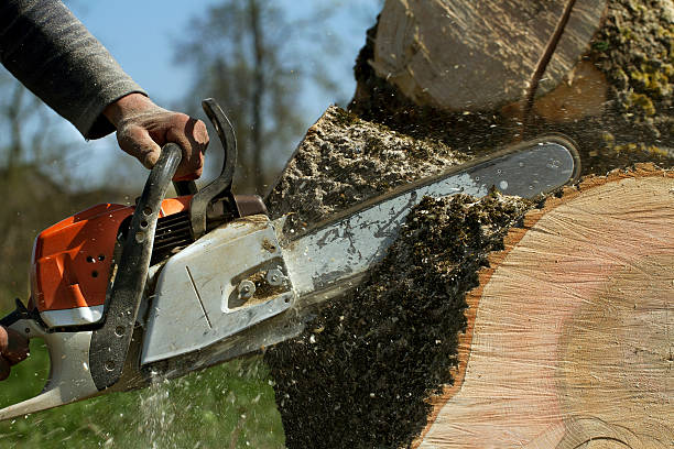 Best Lawn Pest Prevention  in Lincolndale, NY